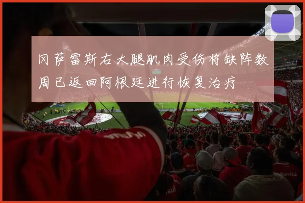 冈萨雷斯右大腿肌肉受伤将缺阵数周已返回阿根廷进行恢复治疗