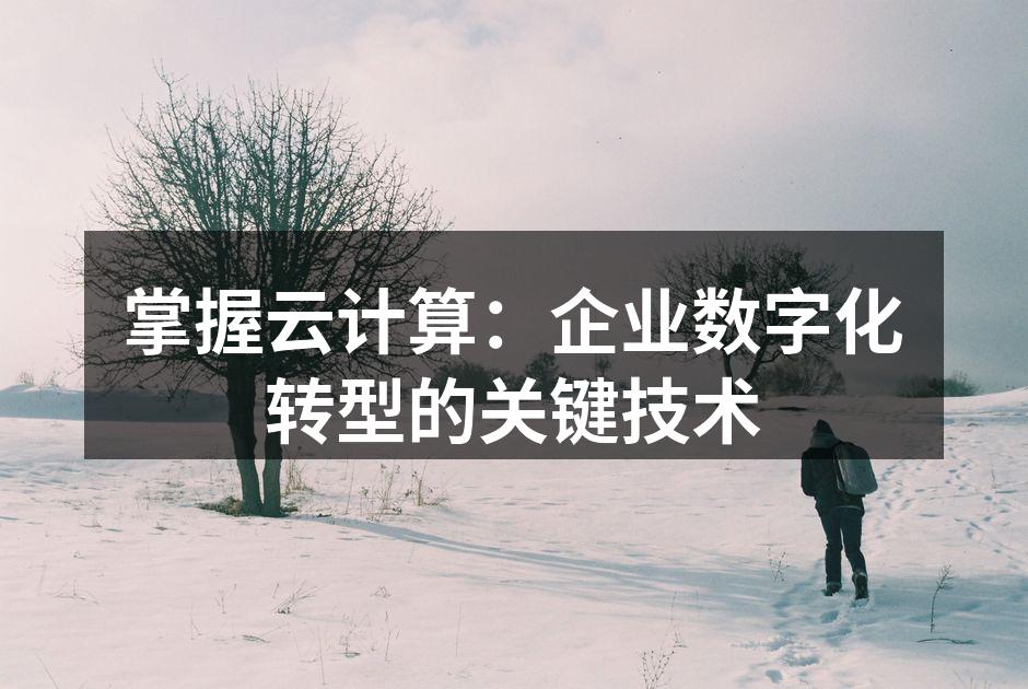 掌握云计算：企业数字化转型的关键技术